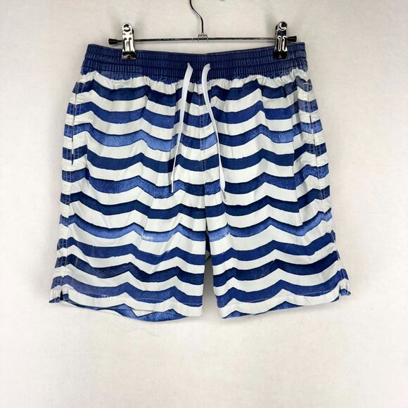 chubbies Blue/White Stripe Mens‎ Lined Swim Trunks Size S - Picture 1 of 11